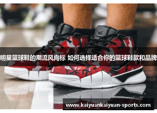 明星篮球鞋的潮流风向标 如何选择适合你的篮球鞋款和品牌